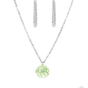 Paparazzi accessories